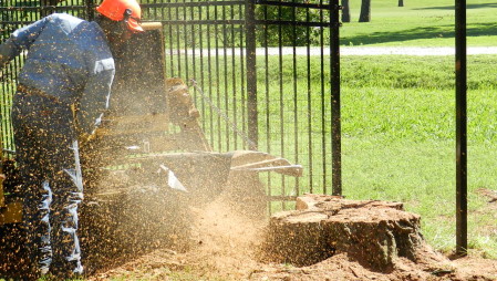 Stump Grinding