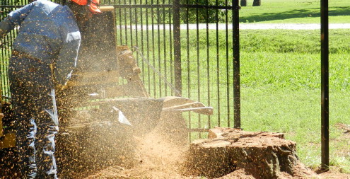 Stump Grinding